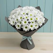 Букет цветов из:  Хризантемы #REPLACE_PRED# Благовещенке