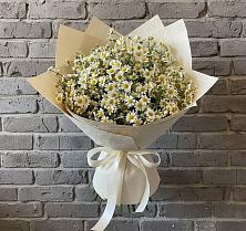 Букет цветов из:  Ромашки в Благовещенке