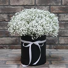 Цветочная композиция из Гипсофила в шляпной коробке в Благовещенке