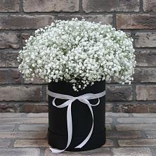 Цветочная композиция из Гипсофила в шляпной коробке в Благовещенке