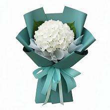 Букет цветов из:  Гортензия в Благовещенке